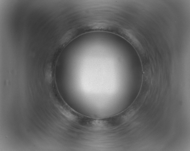 X0000072920261200607282119