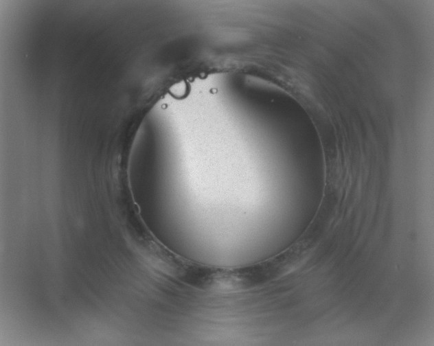 X0000072920263200607282119