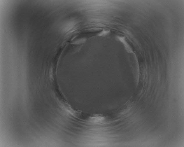 X0000072920266200607282119