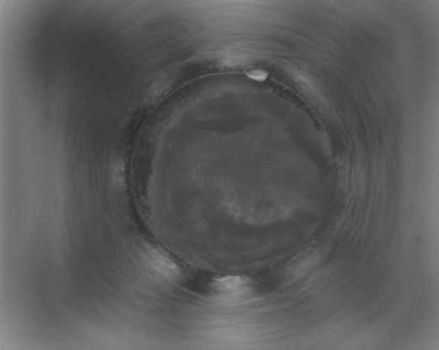 X0000072920269200607282119