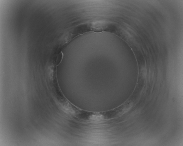 X0000072920271200607282119