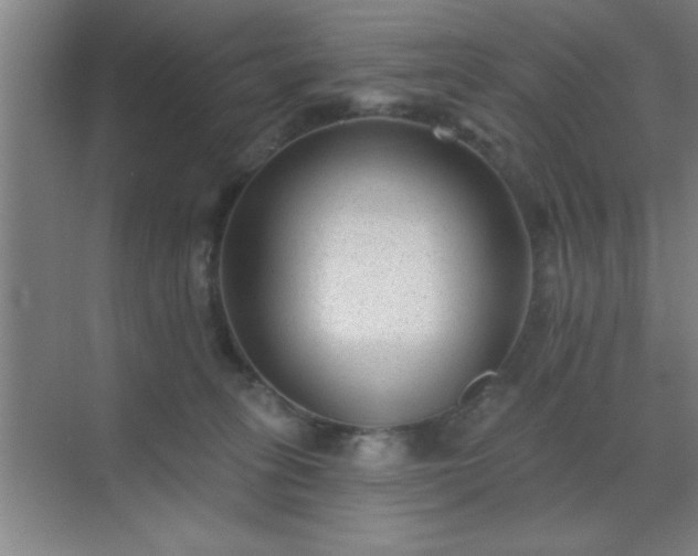 X0000072920275200607282119