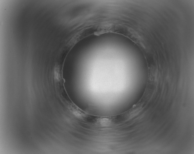 X0000072920287200607282119