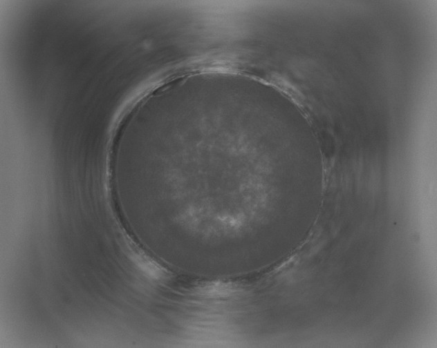 X0000072920293200607282118