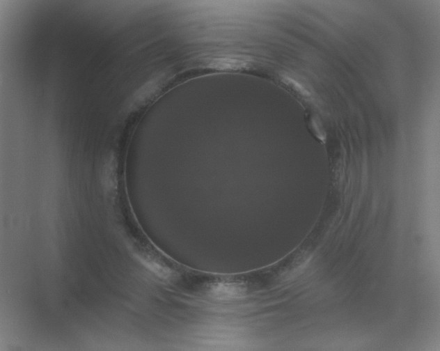 X0000072920303200607282118
