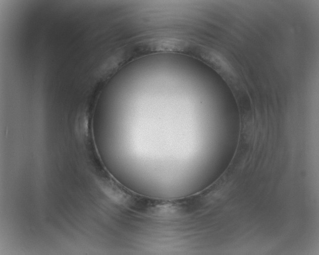 X0000072920310200607282118