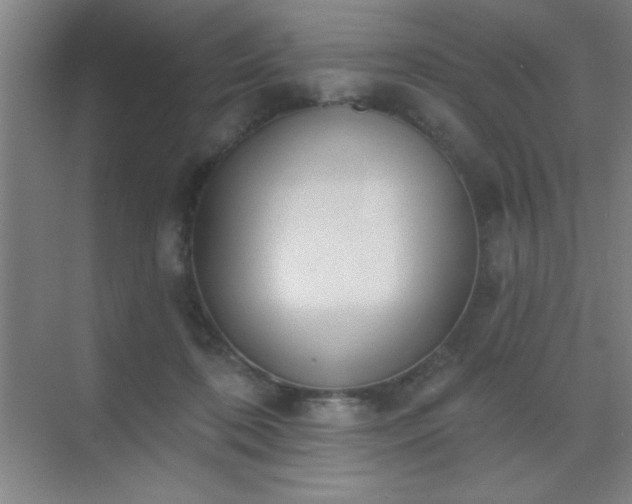 X0000072920316200607282118