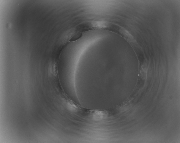 X0000072920330200607282118