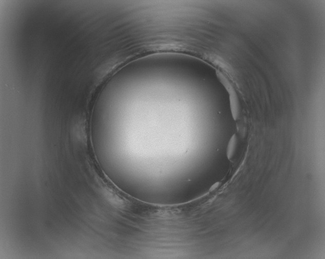X0000072920345200607282117