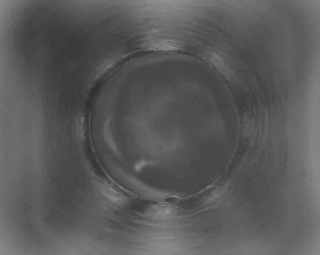 X0000072920351200607282117