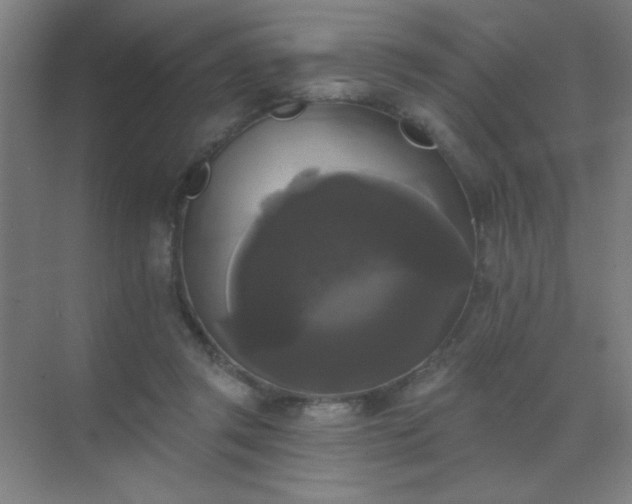 X0000072920357200607282117