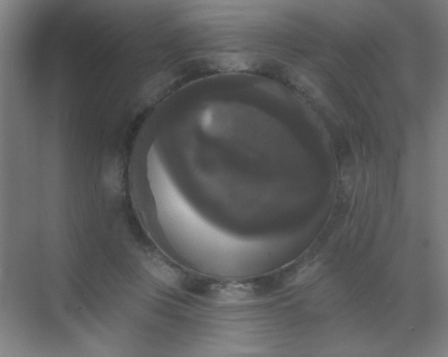 X0000072920359200607282117