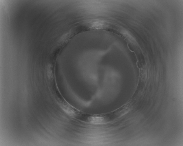 X0000072920361200607282117
