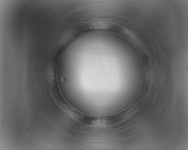 X0000072920362200607282117