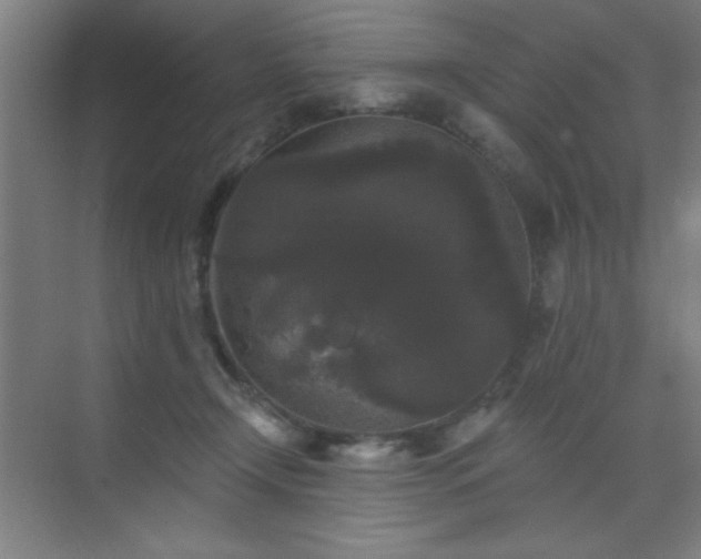 X0000072920366200607282117