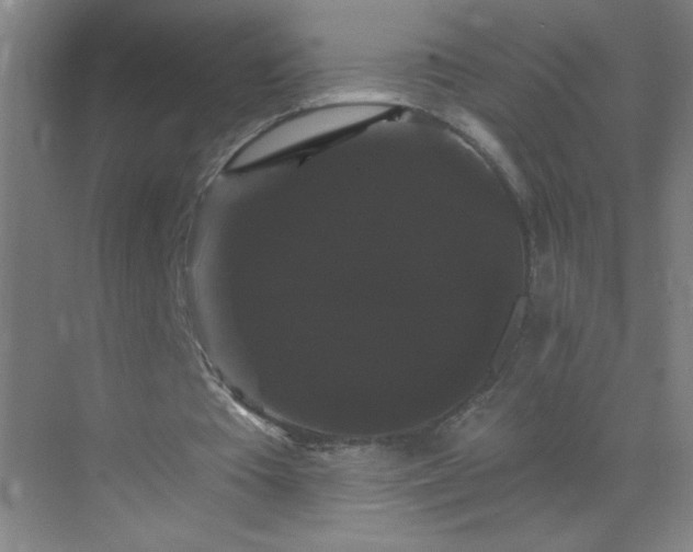 X0000072920385200607282117