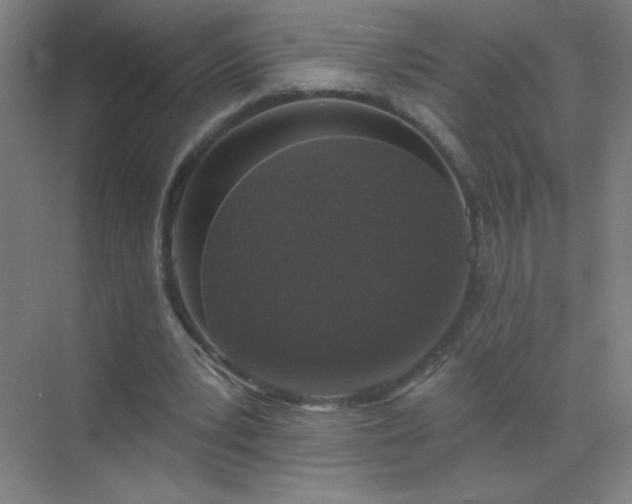 X0000072920391200607282117