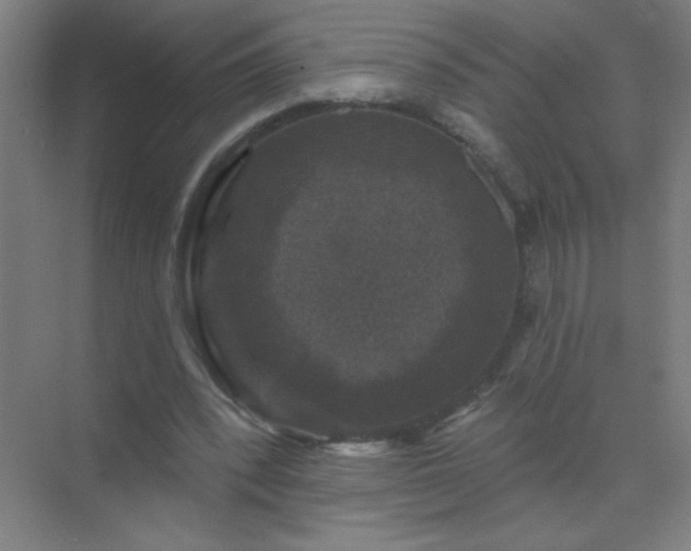 X0000072920392200607282117