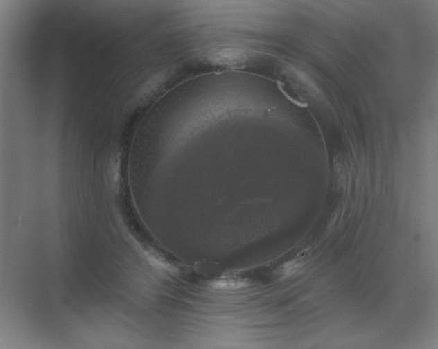 X0000072920404200607282117
