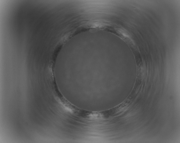 X0000072920415200607282116