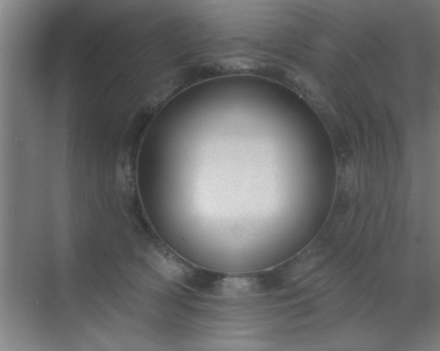 X0000072920418200607282116