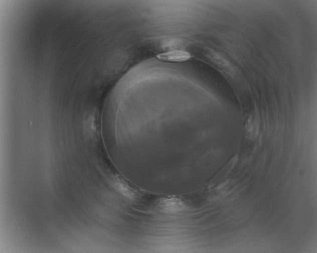 X0000072920424200607282116