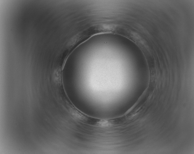 X0000072920425200607282116