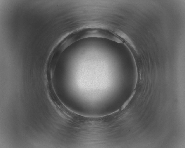 X0000072920436200607282115