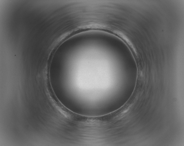 X0000072920437200607282115