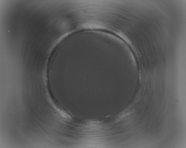 X0000072920438200607282115