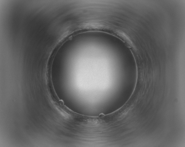 X0000072920439200607282115