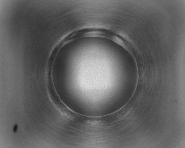 X0000072920440200607282115
