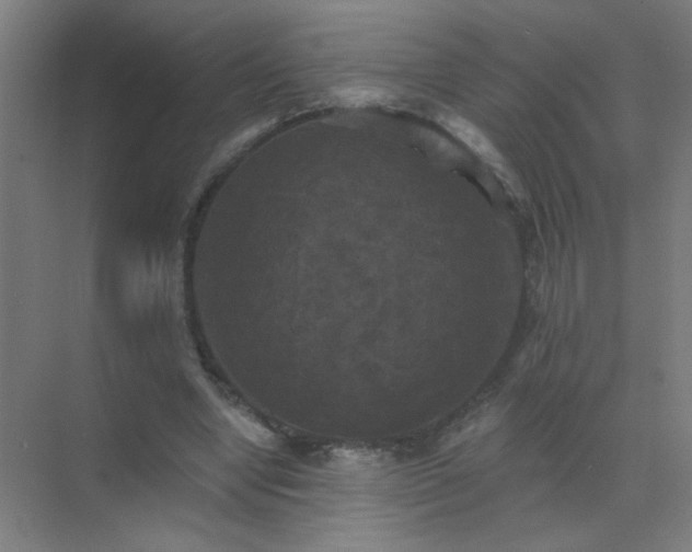 X0000072920442200607282115