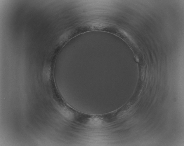 X0000072920451200607282116