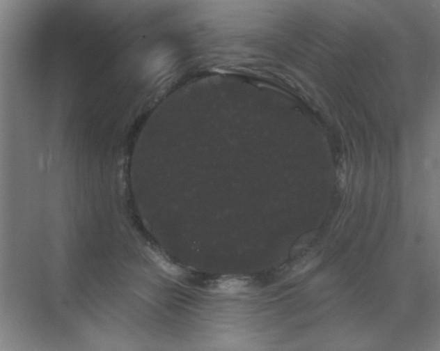 X0000072920462200607282116