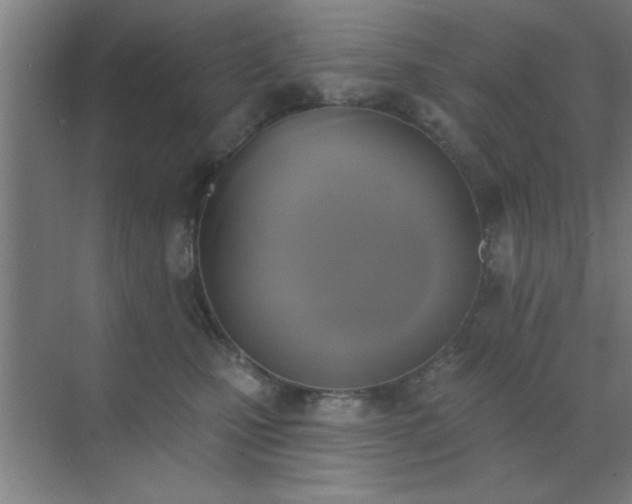 X0000072920471200607282116