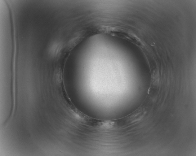 X0000072920474200607282116