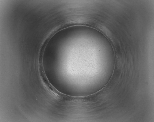 X0000072920482200607282115