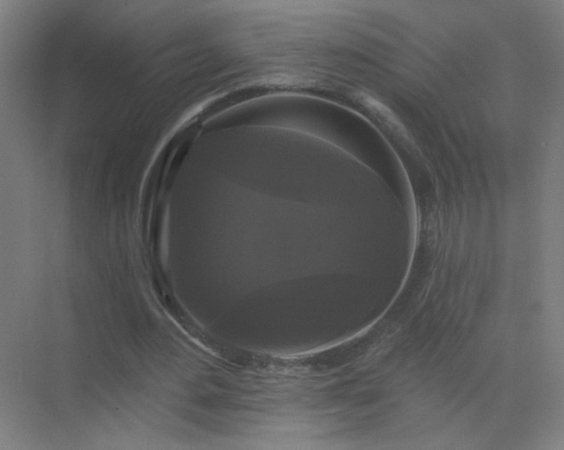 X0000072920484200607282115