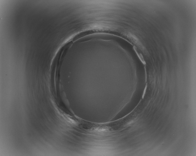 X0000072920488200607282115
