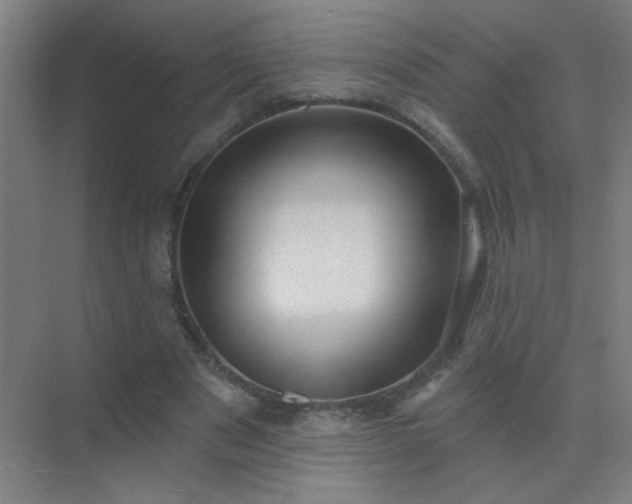 X0000072920489200607282115