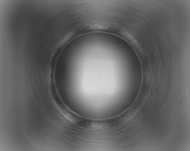 X0000072920490200607282115