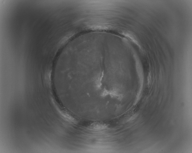 X0000072920491200607282115