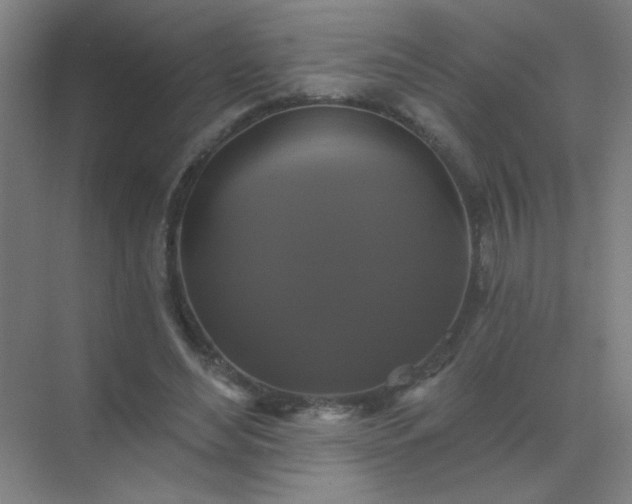 X0000072920492200607282115
