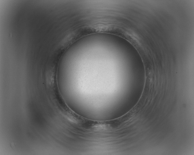X0000072920499200607282115