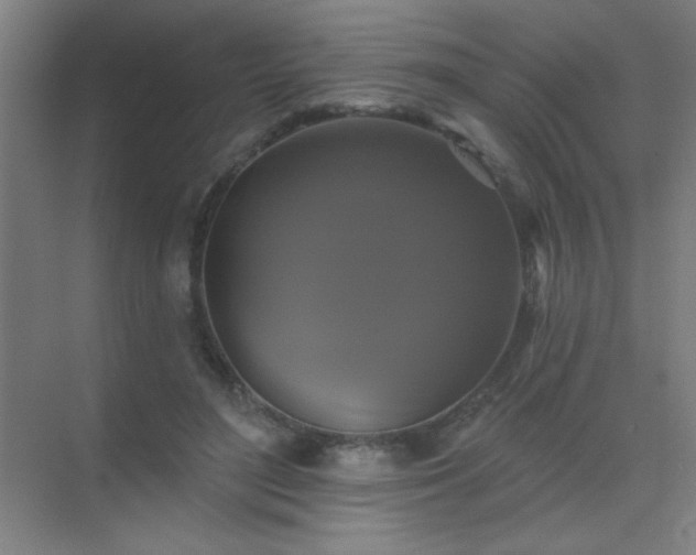X0000072920500200607282115