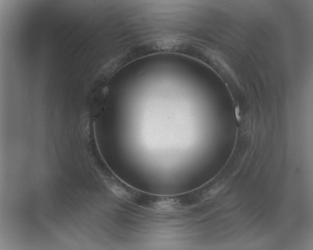 X0000072920505200607282115