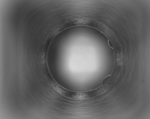 X0000072920514200607282115