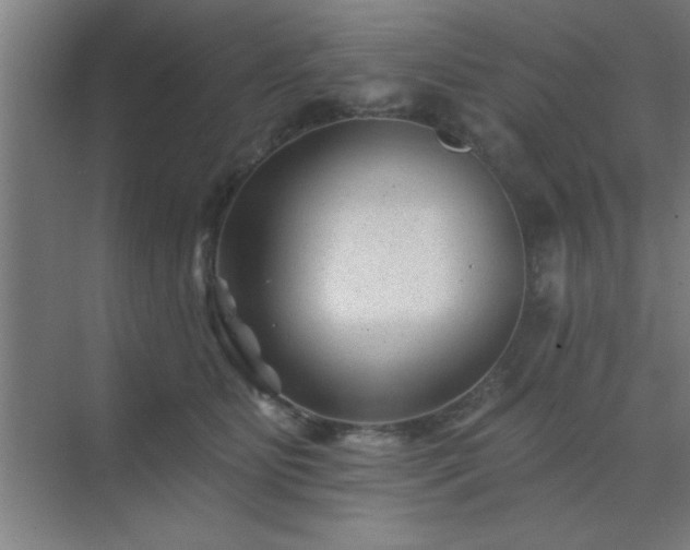 X0000072920515200607282115