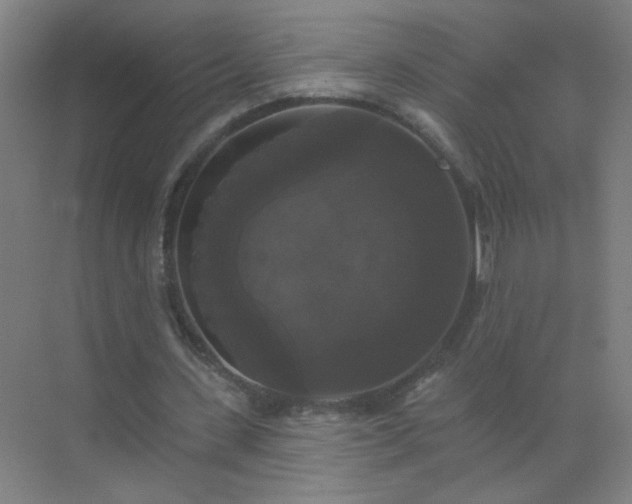 X0000072920531200607282114